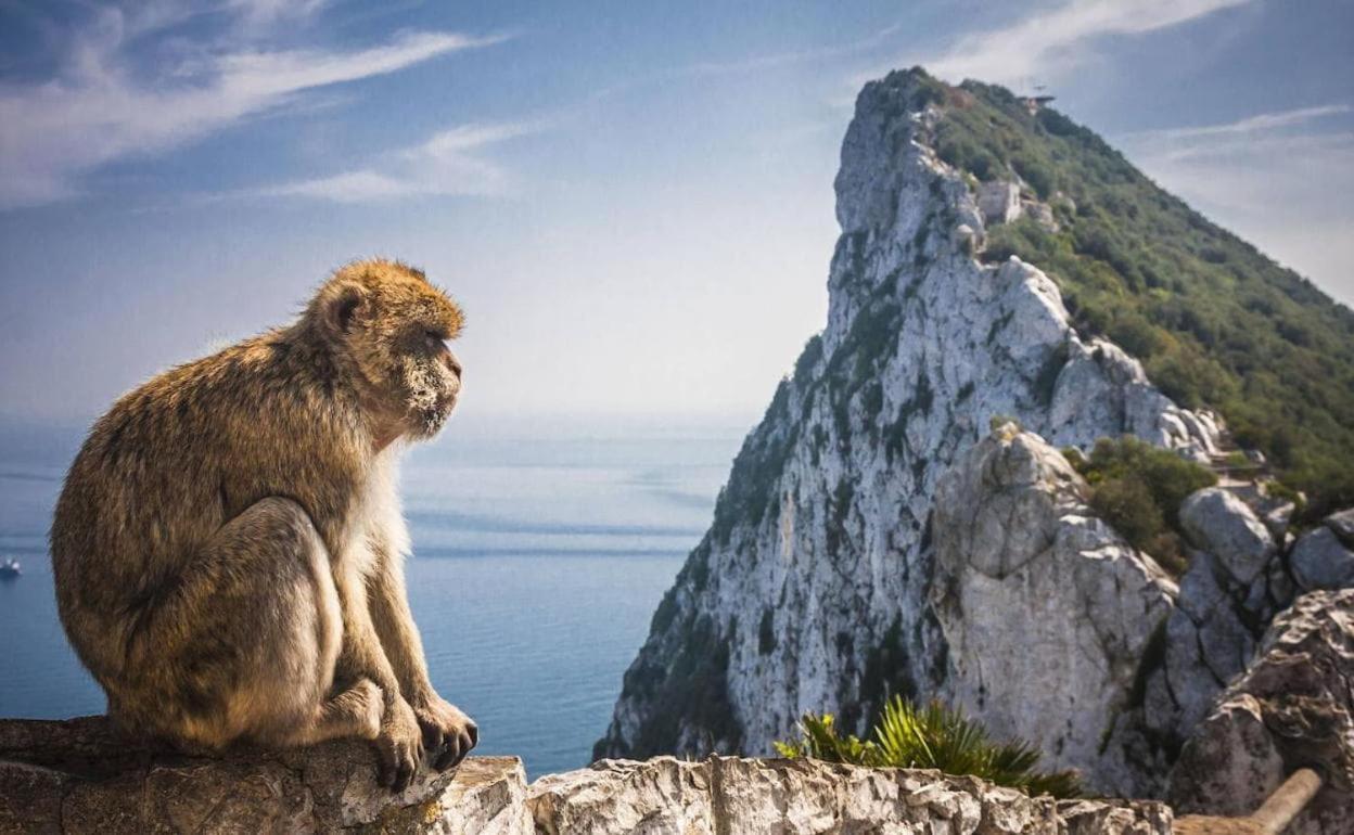 El Conventillo De San Roque ซานโรเก ภายนอก รูปภาพ